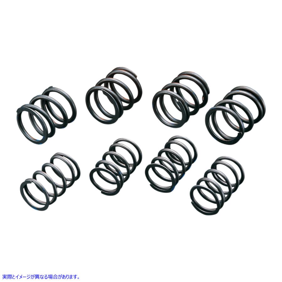 取寄せ ハイリフトバルブスプリング アンドリュース High-Lift Valve Springs 272110 DS199736