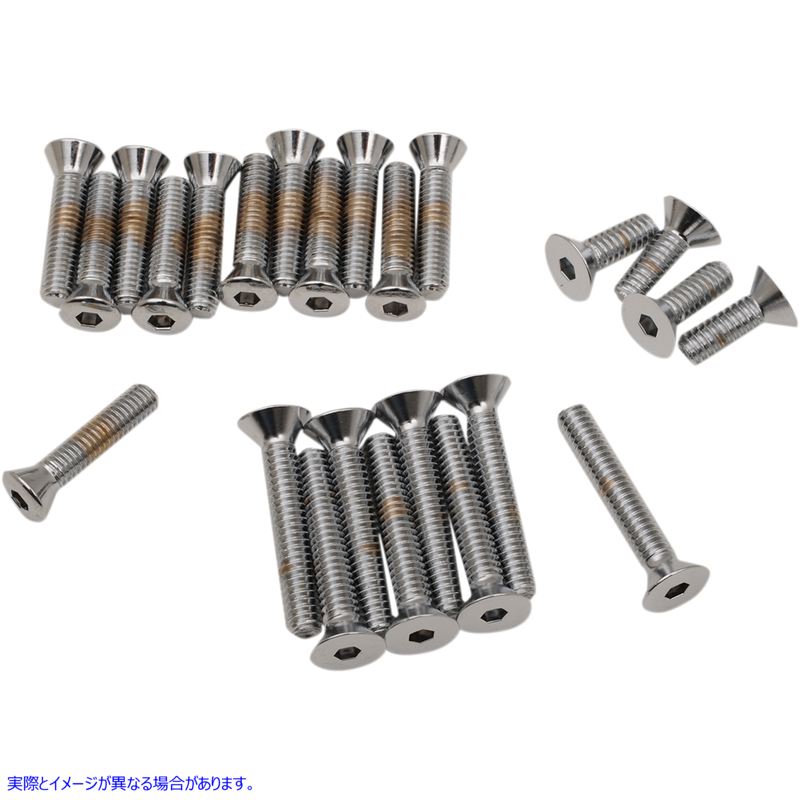 取寄せ カバーボルト - ソケットヘッド - サイド - FL ドラッグスペシャリティーズ Cover Bolts - Socket-Head - Side - FL DS-190756 DS190756