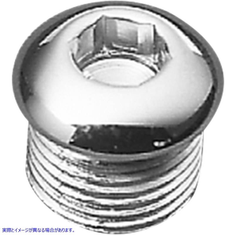 取寄せ タイミングとオイルタンクドレンプラグ ドラッグスペシャリティーズ Timing Plug - Allen - Harley-DavidsonR DS-190785 DS190785